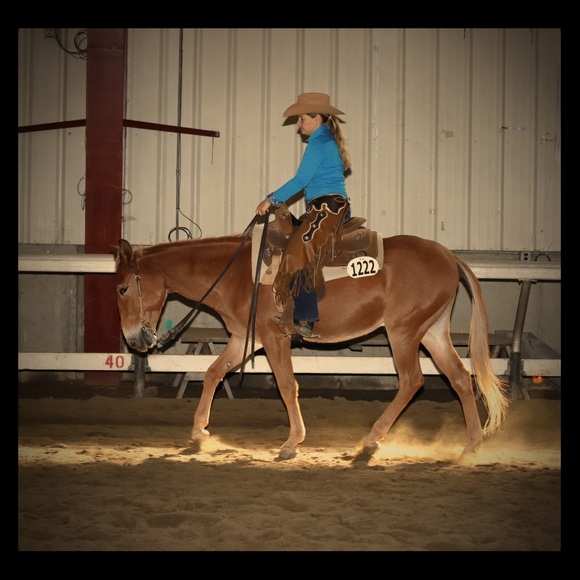 Happy horse girl! - Picture 1 of 4